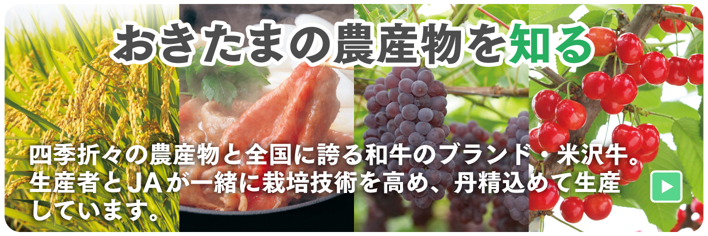 おきたまの農産物を知る。四季折々の農産物と全国に誇る和牛のブランド・米沢牛。生産者とJAが一緒に栽培技術を高め、丹精込めて生産しています。