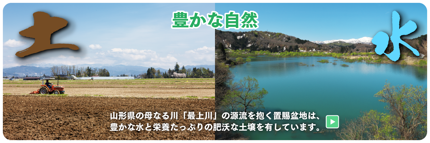 豊かな自然。 山形県の母なる川「最上川」の源流を抱く置賜盆地は、豊かな水と栄養たっぷりの肥沃な土壌を有しています。