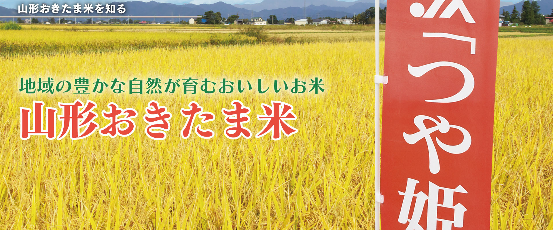 地域の豊かな自然が育むおいしいお米「山形おきたま産米」